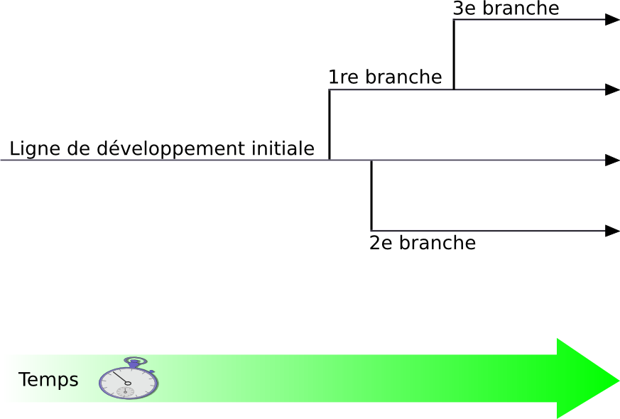 Branches de développement